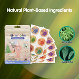 Brunoko Forest - Rabbit Mosquito Repellent Patches (30 Patches)