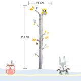 Brunoko Nursery Wall Sticker Height Chart For Kids - Brunoko