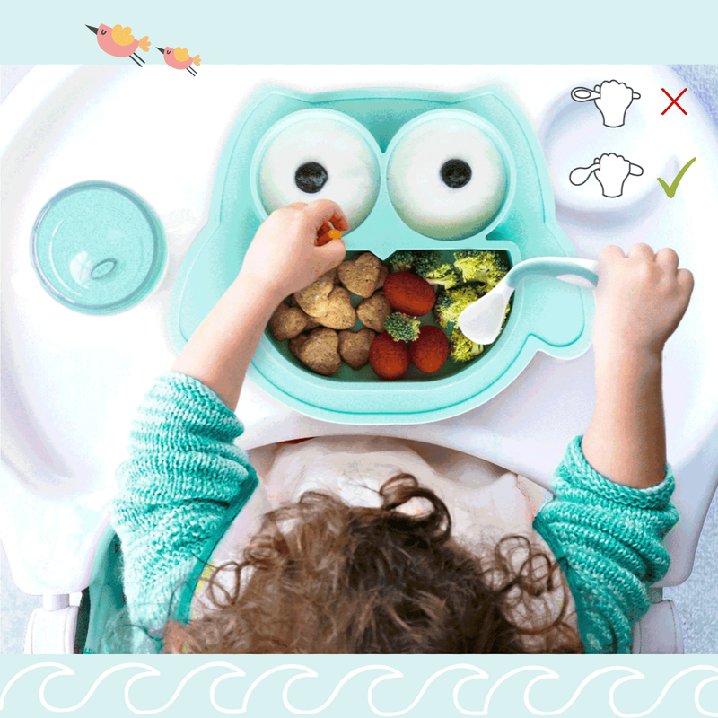 Plato de succión para bebé – Plato para bebé con forma de oso con ventosa,  diseño dividido, plato para bebés y niños a partir de 6 meses, microondas y