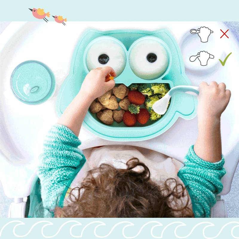 Brunoko Baby Suction Plate + Silicone Bib (Green) - Brunoko